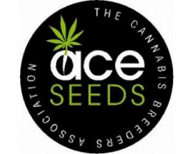 Ace Seeds - Zamaldelica cannabis seed
