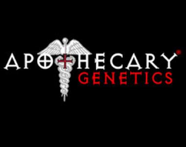 Apothecary Genetics - Dream Berry cannabis seed