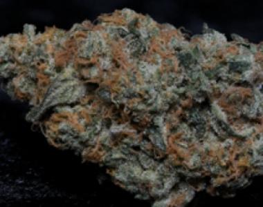 Big Head Seeds - Big Head Confidential cannabis seed
