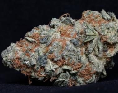 Big Head Seeds - Cookie Dawg cannabis seed