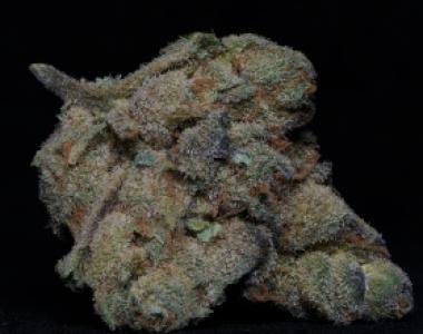 Big Head Seeds - Girl Scout Cookies cannabis seed