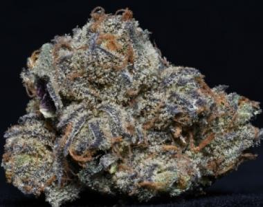 Big Head Seeds - Granddaddy Purple cannabis seed
