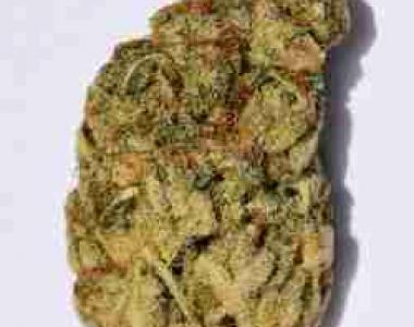 Big Head Seeds - Wedding Cake cannabis seed