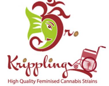 Dr Krippling - Kalis Lullaby cannabis seed
