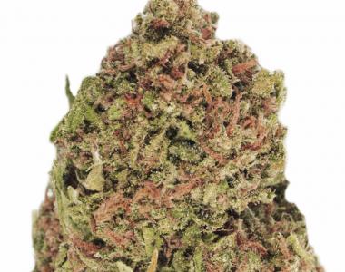 Heavyweight Seeds - Dream Machine cannabis seed