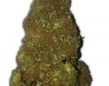 Heavyweight Seeds - Jackpot Auto cannabis seed
