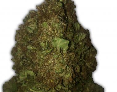 Heavyweight Seeds - Short and Sweet Auto cannabis seed