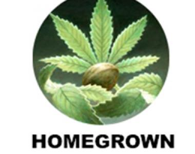 Homegrown Fantaseeds - Outdoor Mix cannabis seed