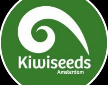 Kiwi Seeds - Outdoor Mix cannabis seed