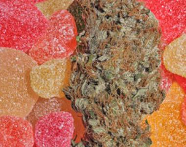 Mandala Seeds - Fruitylicious cannabis seed