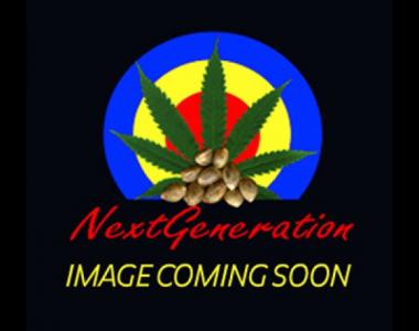 Next Generation - Medicine cannabis seed
