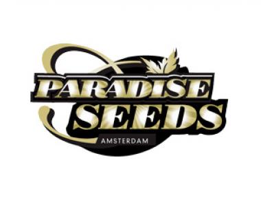 Paradise Seeds - Auto Mix Pack 2 cannabis seed