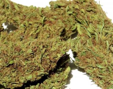 Sagarmatha Seeds - Union Jack cannabis seed